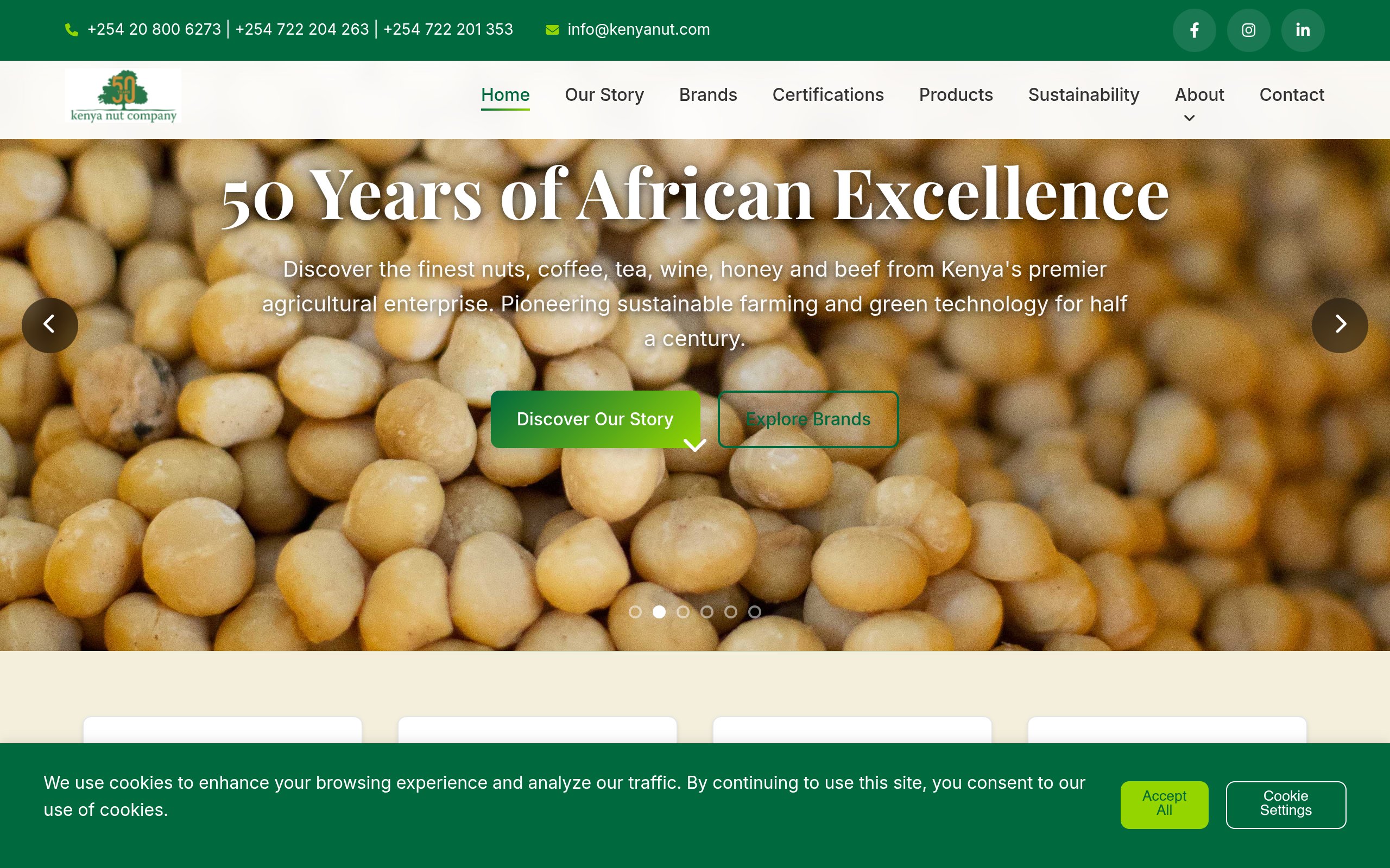 Screenshot of the Kenynaut website